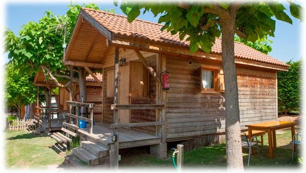 zobacz camping - zdjęcie 4