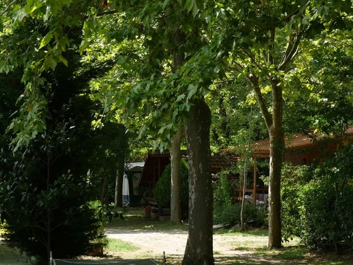 zobacz camping - zdjęcie 10