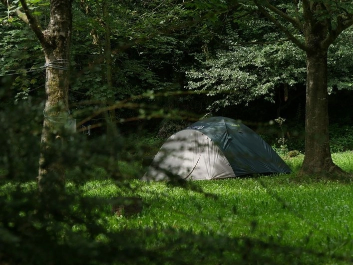 zobacz camping - zdjęcie 6