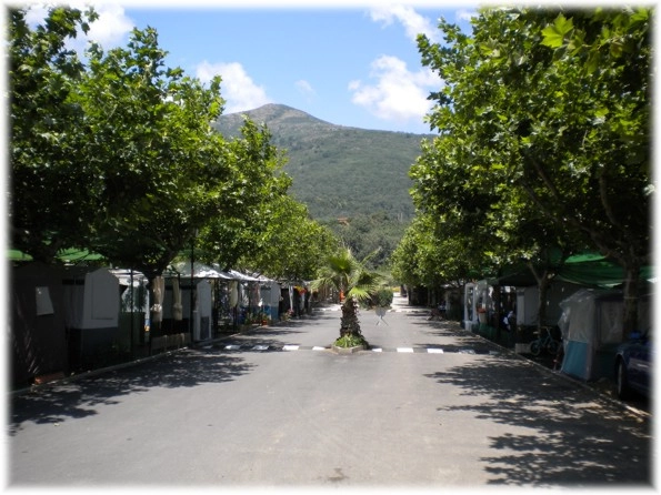 zobacz camping - zdjęcie 17