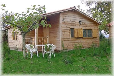 zobacz camping - zdjęcie 9