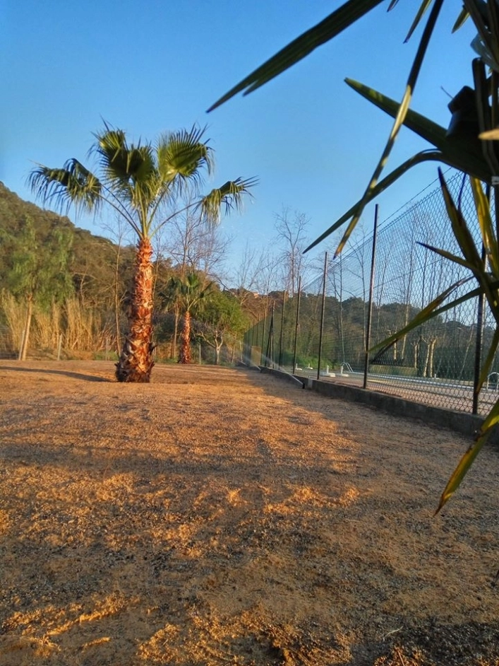 zobacz camping - zdjęcie 6