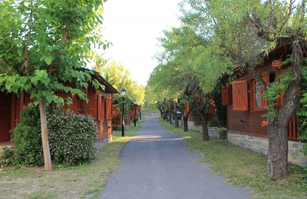 zobacz camping - zdjęcie 7