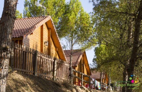 zobacz camping - zdjęcie 17