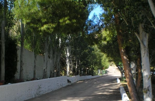 zobacz camping - zdjęcie 8