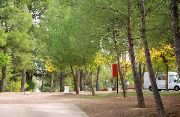 zobacz camping - zdjęcie 6