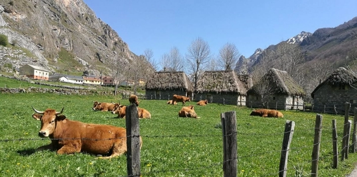 Camping Lagos de Somiedo - zdjęcie 1