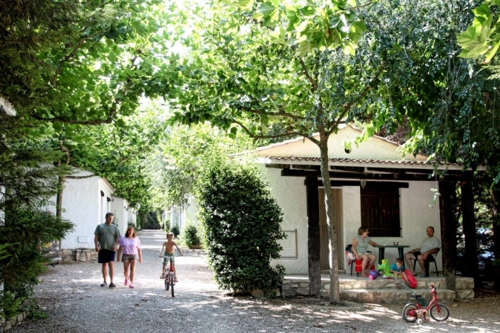 zobacz camping - zdjęcie 35