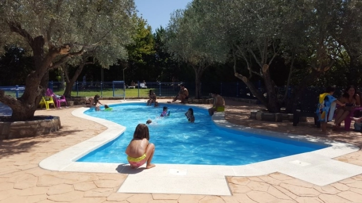 zobacz camping - zdjęcie 26