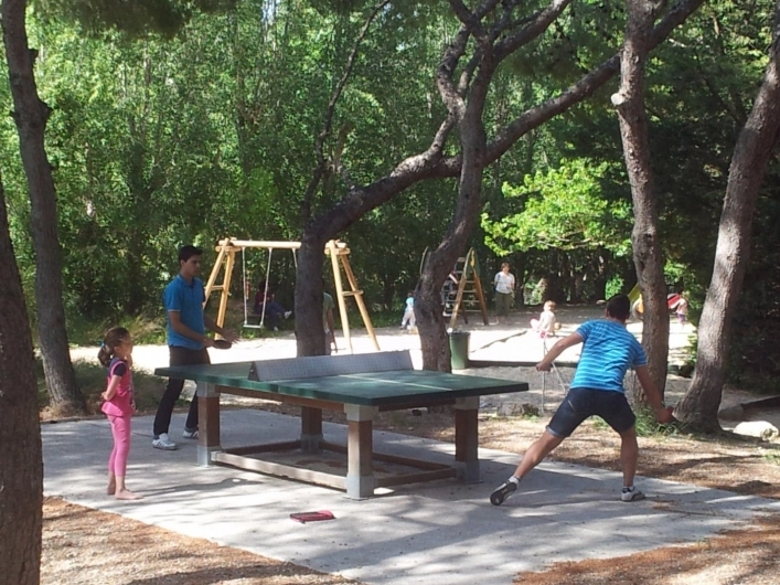 zobacz camping - zdjęcie 20