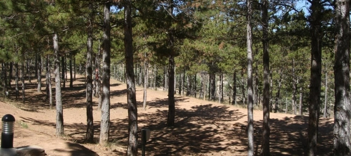 zobacz camping - zdjęcie 16