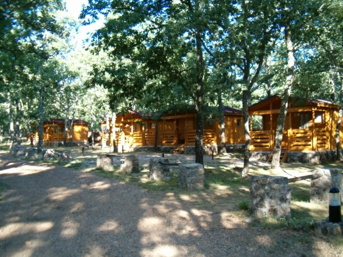 zobacz camping - zdjęcie 13