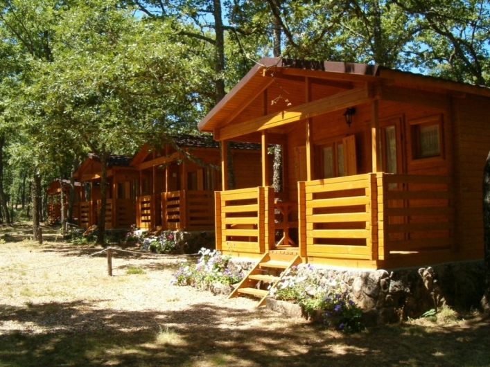 zobacz camping - zdjęcie 11