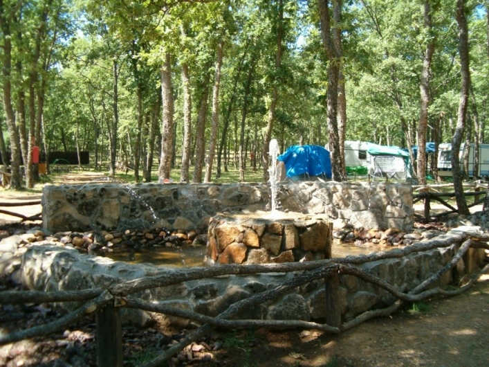 zobacz camping - zdjęcie 10