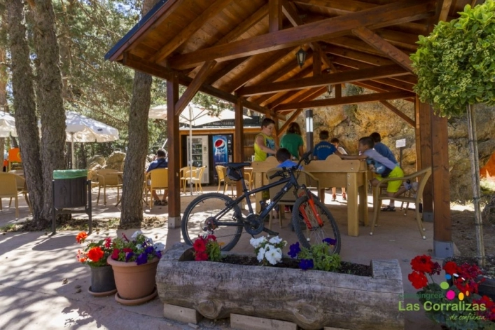 zobacz camping - zdjęcie 26