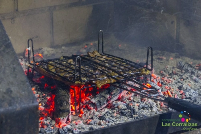 zobacz camping - zdjęcie 18