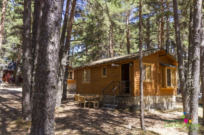 zobacz camping - zdjęcie 11