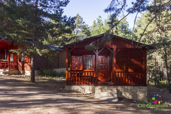 zobacz camping - zdjęcie 8