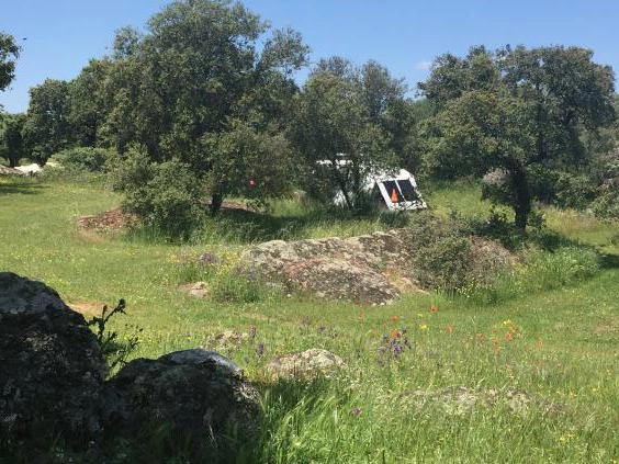 Camping Las Grullas - zdjęcie 2