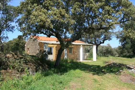 zobacz camping - zdjęcie 1