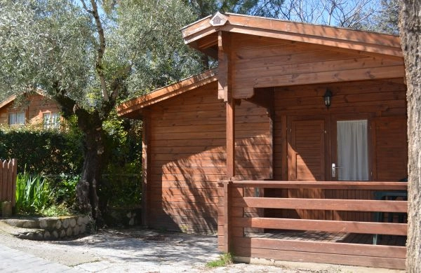 zobacz camping - zdjęcie 26