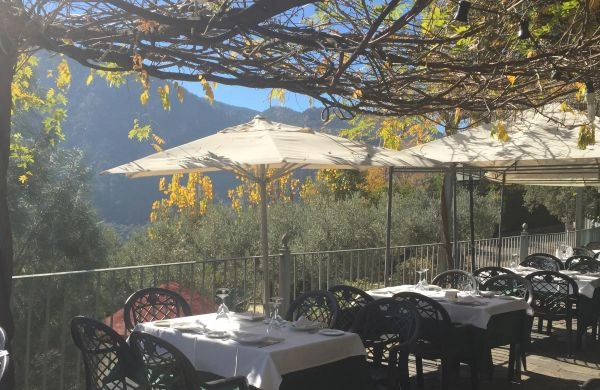 zobacz camping - zdjęcie 24