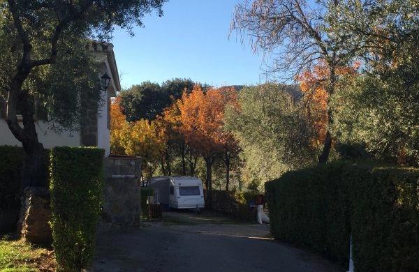 zobacz camping - zdjęcie 22