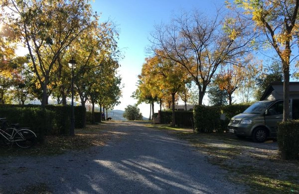 zobacz camping - zdjęcie 16