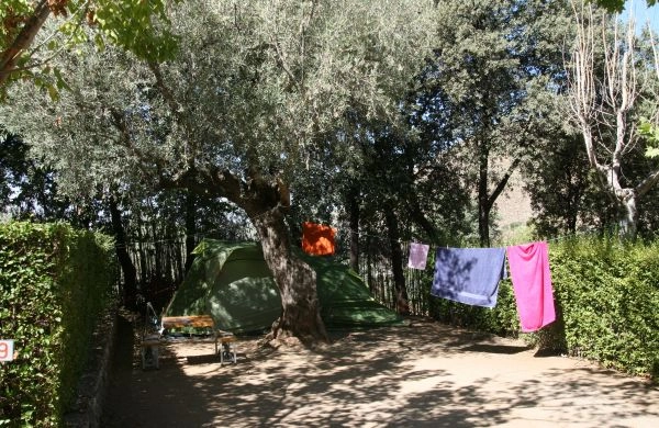 zobacz camping - zdjęcie 15