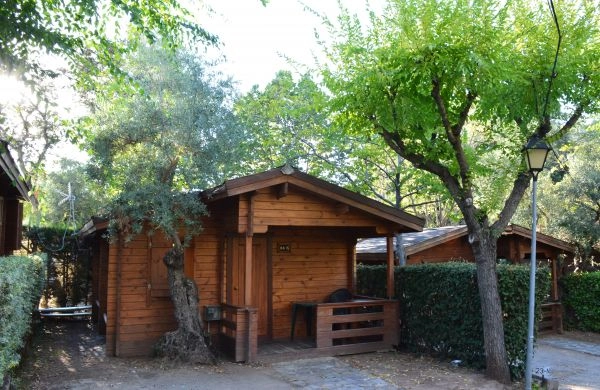 zobacz camping - zdjęcie 6