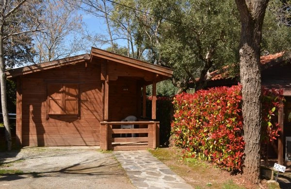 Camping las Lomas - zdjęcie 3