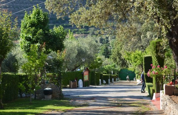 Camping las Lomas - zdjęcie 1