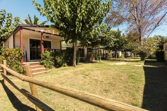 zobacz camping - zdjęcie 28