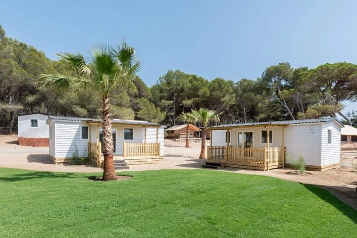 zobacz camping - zdjęcie 21