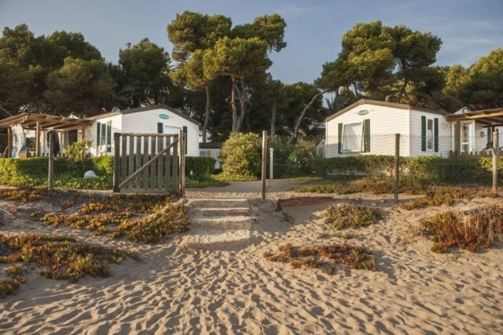 zobacz camping - zdjęcie 2