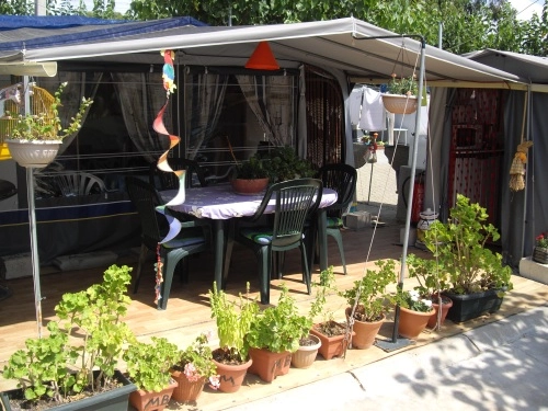 zobacz camping - zdjęcie 17