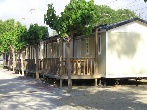 zobacz camping - zdjęcie 6