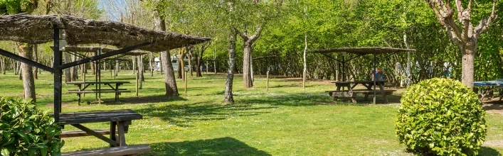 zobacz camping - zdjęcie 7