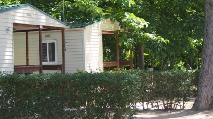 zobacz camping - zdjęcie 5