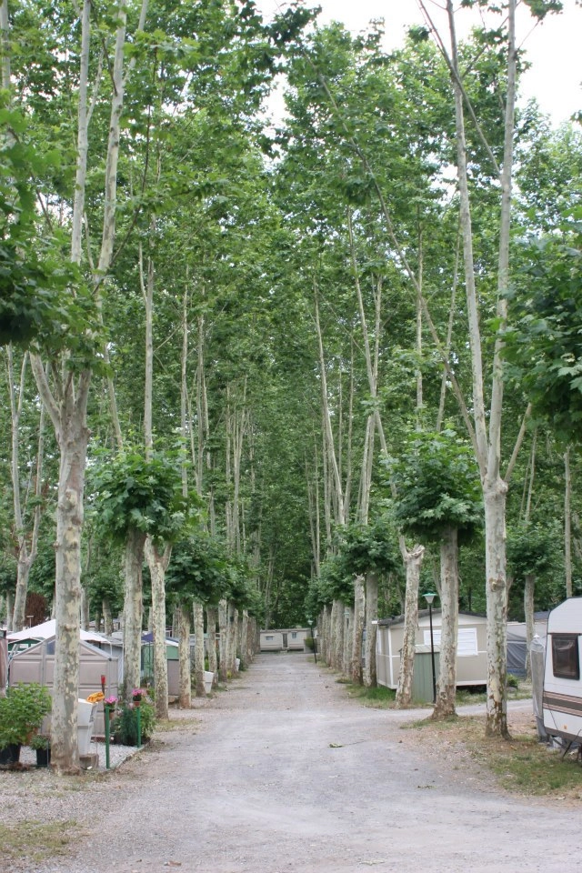 zobacz camping - zdjęcie 10