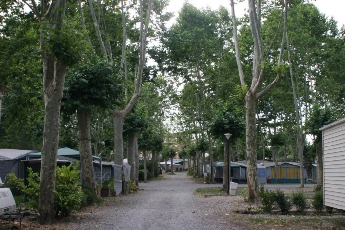 Camping les Tries - zdjęcie 3