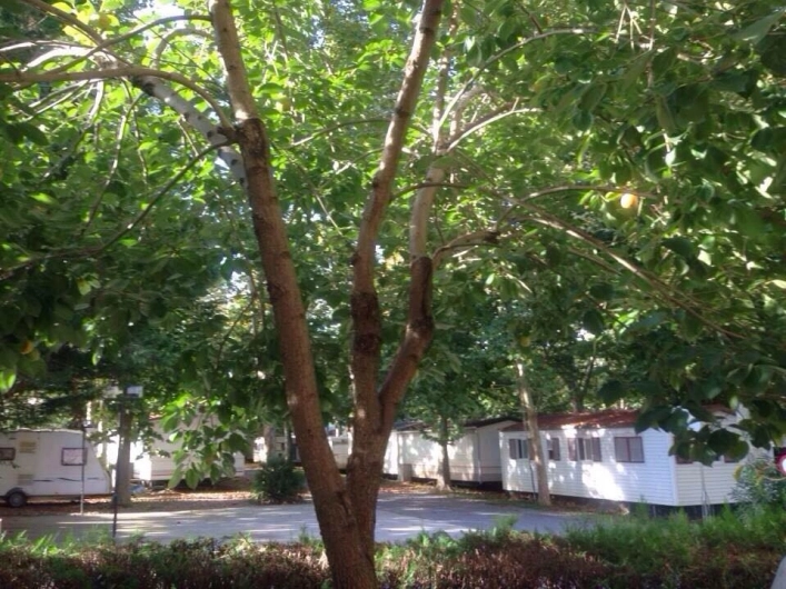 zobacz camping - zdjęcie 3