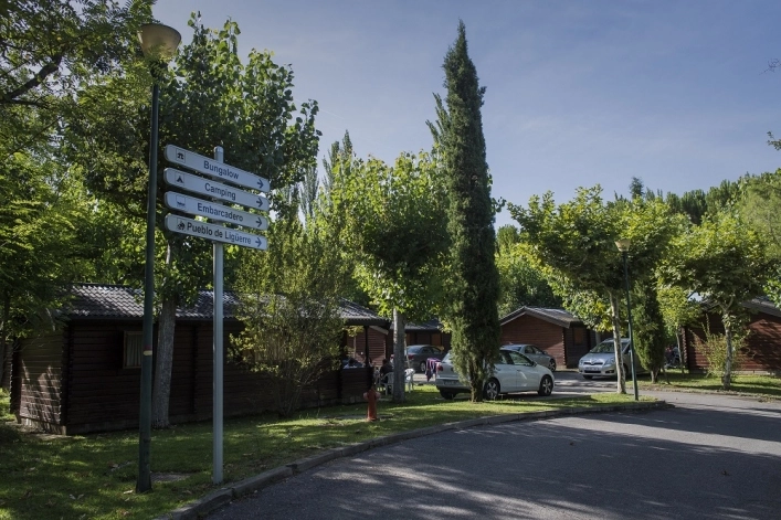 zobacz camping - zdjęcie 10