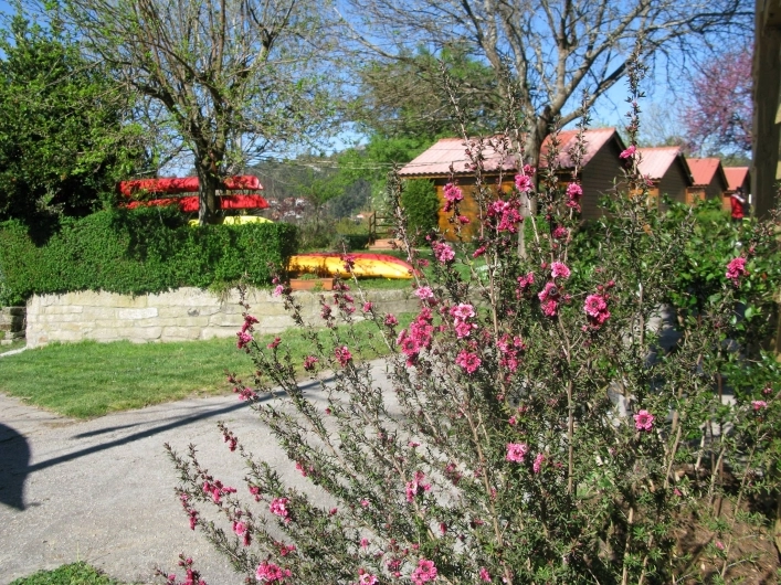 zobacz camping - zdjęcie 8