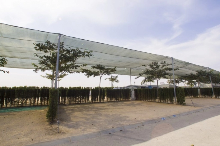 zobacz camping - zdjęcie 26