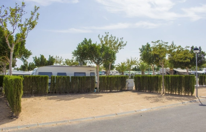 Camping Lo Monte - zdjęcie 3