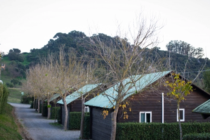 Camping los Alcornocales - zdjęcie 1