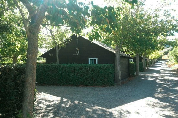 Camping los Alcornocales - zdjęcie 1