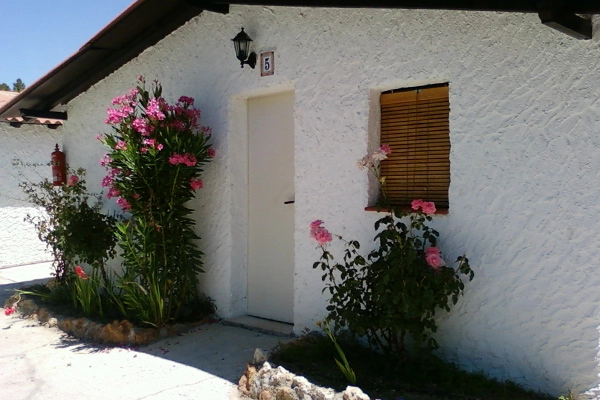 zobacz camping - zdjęcie 4