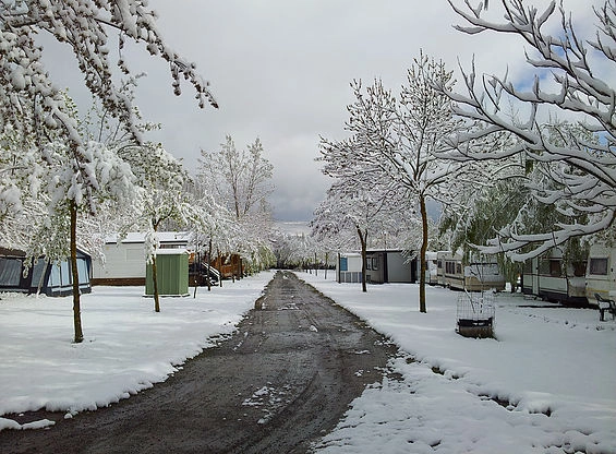 zobacz camping - zdjęcie 14